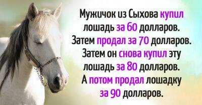 Задача о фермере и лошадке для тех, кто хочет достичь финансового благополучия - takprosto.cc