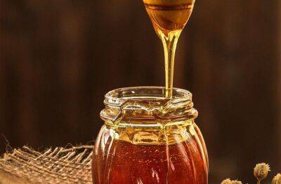 Как простыми способами точно и быстро проверить мед на натуральность - belnovosti.by