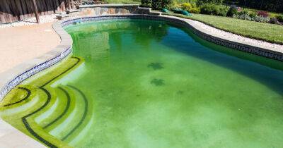 По какой причине вода в бассейне «зацветает» и зеленеет - novate.ru