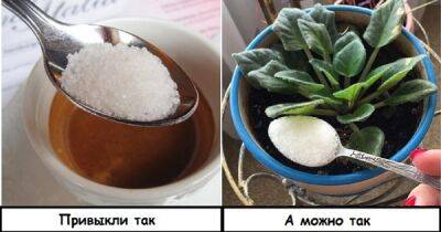 Не только в чай: 8 лайфхаков с сахаром для дома и здоровья - novate.ru