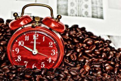 Игорь Зур - Как проснуться без кофе: 4 напитка, которые сделают утро бодрым и добрым - belnovosti.by