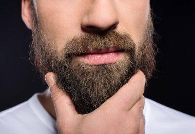 Зачем мужчине борода? - shkolazhizni.ru