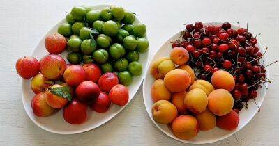 Храню фрукты и ягоды целый год. Они остаются свежими, сочными, очень вкусными - cpykami.ru