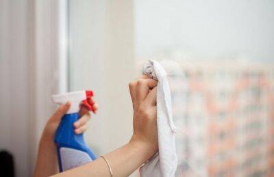 Марин Михалап - Как помыть окна, чтобы они заблестели от чистоты: понадобится всего одно дешевое средство - belnovosti.by