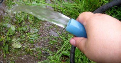 Легко и просто поливаем огород без насоса — его заменит бутылка - cpykami.ru