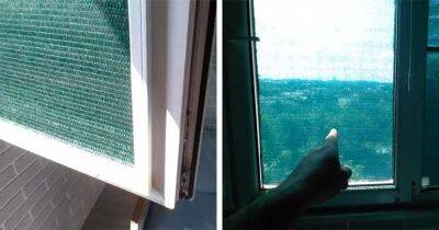 Избавьтесь от жары в квартире без штор и кондиционера. Хитрый способ защиты от знойного солнца - cpykami.ru