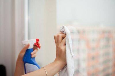 Как вымыть окна без разводов: домашние хитрости ушлых хозяек - belnovosti.by