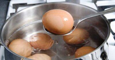 Как правильно сварить куриные яйца, чтобы легко чистились - novate.ru