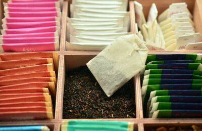 Почему опытные хозяйки не выбрасывают чайные пакетики: 5 альтернативных способов использования - belnovosti.by