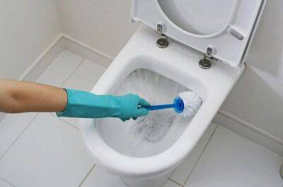 Правило 2-х минут чтобы очистить унитаз от известкового налета за минимум времени. Он всегда будет чистым - nashsovetik.ru