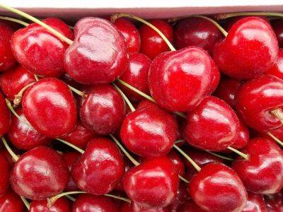 Игорь Зур - Назван способ выбрать вкусную черешню: какие ягоды не стоит покупать - belnovosti.by