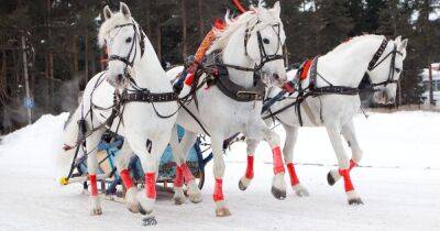 Почему в «тройке» правая и левая лошади смотрят в разные стороны - novate.ru - Русь