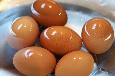 Почему лучше не выливать воду из-под вареных яиц в раковину: в чем хитрость - belnovosti.by