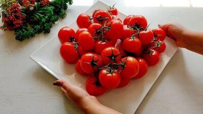 Не добавляю соль, уксус и даже воду. Сохраняю помидоры как свежие с огорода в течение нескольких лет - cpykami.ru