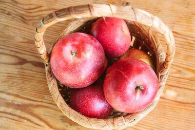 Игорь Зур - Как правильно покупать яблоки и как выбрать "женский" фрукт: фермеры рассказали - belnovosti.by