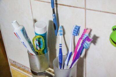 Не выбрасывайте старые зубные щетки: 5 ситуаций, когда они могут пригодиться - belnovosti.by