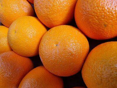 Антон Курчев - Почему апельсины нельзя хранить в холодильнике: об этом должна знать каждая хозяйка - belnovosti.by
