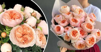 Почему в США цветы стоят очень дешево, а у нас это прибыльный бизнес - takprosto.cc - Англия - Япония - Сша