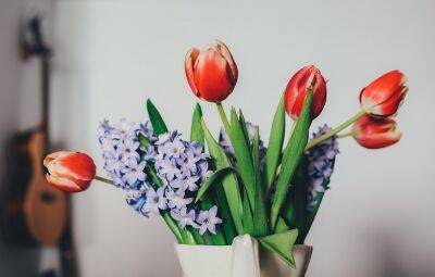 Ольга Котова - Что нужно сделать, чтобы цветы дольше стояли в вазе - belnovosti.by