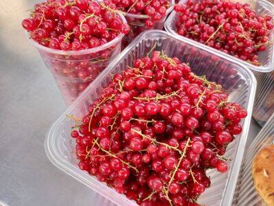 Игорь Зур - Как лучше хранить ягоды: хозяйки назвали самые здоровые способы - belnovosti.by