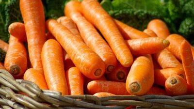 Как правильно хранить морковь в холодильнике: из-за этой частой ошибки овощ рано начинает гнить - nashsovetik.ru