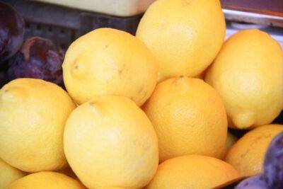 4 причины использовать лимон в быту: советы бывалых хозяек - belnovosti.by