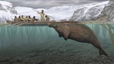 Морская корова. Какое животное истребили через 27 лет после его открытия? - shkolazhizni.ru - штат Аляска