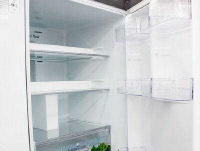 Как избавиться от неприятного запаха в холодильнике: 2 проверенных способа - belnovosti.by