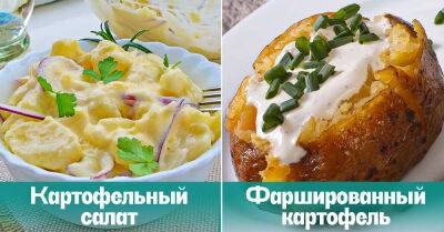 Польские блюда из картошки, которые спасали хозяек в трудные военные времена - takprosto.cc