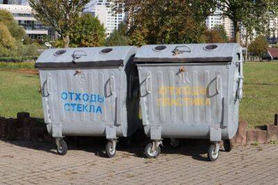 Игорь Зур - Три простых способа справиться с запахом из мусорного ведра: один другого лучше - belnovosti.by