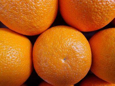 Не выбрасывайте кожуру от мандаринов и апельсинов: в каких случаях она может быть полезна в быту - belnovosti.by