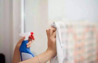 Елен Гутыро - Еще один способ вымыть окна без разводов за 5 минут: ничего лучше по мытью стекол вы прежде не знали - belnovosti.by