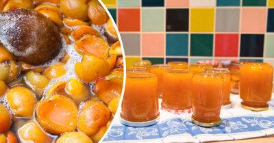 Подмога молодым, неопытным хозяйкам: как варить абрикосовый джем, чтобы сохранить вкус и цвет свежих абрикосов - takprosto.cc - Россия