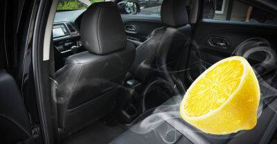 Молодые водители не понимают, зачем опытные автомобилисты возят в машине лимон - takprosto.cc