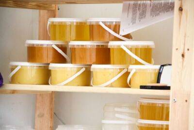 Что делать, если засахарился мед: 3 варианта спасения продукта - belnovosti.by