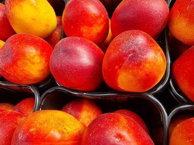 Игорь Зур - Как выбрать самые вкусные персики: фермеры назвали один безотказный признак - belnovosti.by