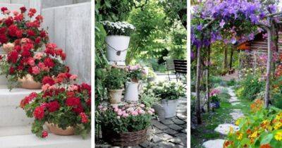 Чем больше цветов, тем лучше: отличные идеи, как красиво разместить цветы на участке - cpykami.ru