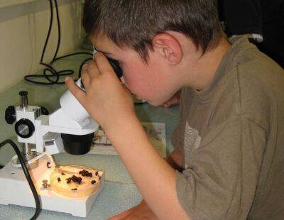Как выбрать микроскоп для ребенка? - shkolazhizni.ru