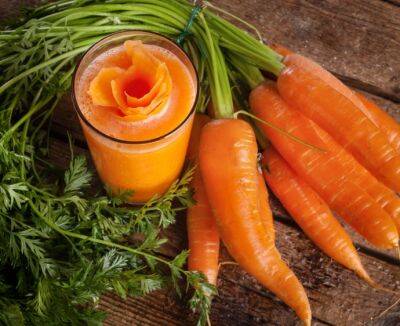 Как сохранить морковь в пакете до весны: не гниет, не сохнет и не чернеет - polsov.com