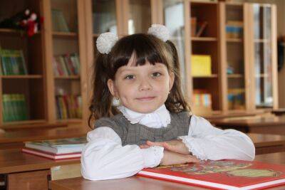Как помочь ребенку хорошо учиться в школе? - shkolazhizni.ru