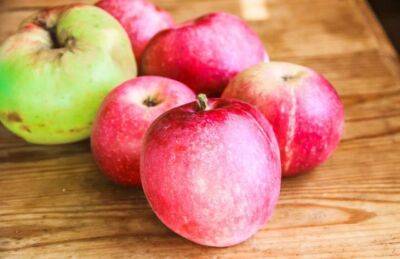Марин Михалап - Какие 3 хитрости позволят выбрать максимально сладкие и сочные яблоки: не все об этом знают - belnovosti.by