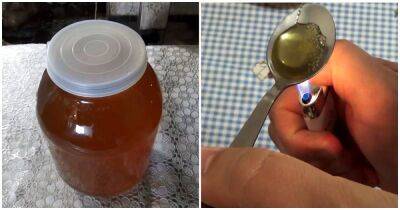 Как отличить качественный мёд от подделки? Реально рабочие домашние способы покажут истинную картину - cpykami.ru