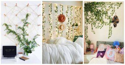Современные идеи украшения стен вьющимися растениями: создайте зеленый оазис в своем доме - cpykami.ru