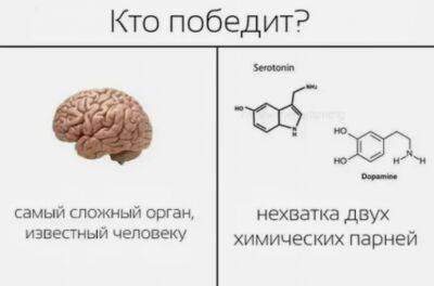 Что стоит знать о дофамин-детоксе - polsov.com