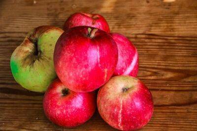5 вариантов использования яблочной кожуры в быту и кулинарии - belnovosti.by