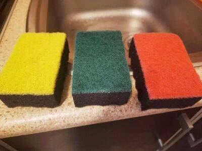 Елен Гутыро - Цвет губки для мытья посуды - не просто маркетинговый ход: для чего использовать каждый - belnovosti.by