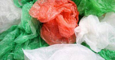 7 альтернативных способов применения пластиковых пакетов из магазина - rus.delfi.lv