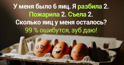 Решил развить логику у жены, задача про яйца, 99 % опрошенных ошибаются - takprosto.cc