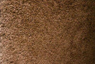 Тимур Хомичев - Турецкий способ чистки ковров: как быстро избавиться от пыли и шерсти - belnovosti.by