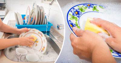 Немецкие хозяйки не споласкивают посуду от мыла, выяснили, в чём подвох - takprosto.cc